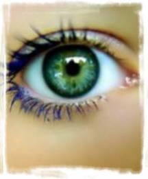 L'oeil . . . . . . . . . . . . . . . . . . . . . . . . . .