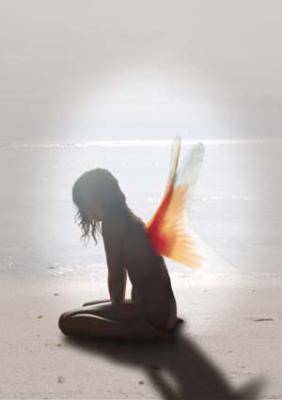 un ange échoué
